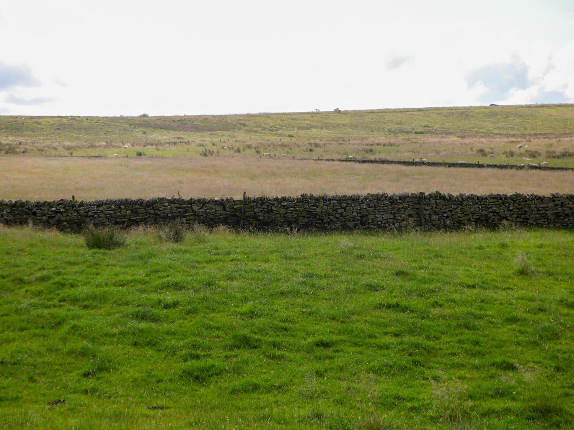 Downsdale Cottage Flash Dış mekan fotoğraf